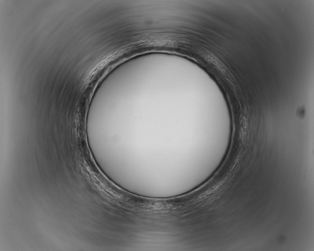 X0000116060922200912111524