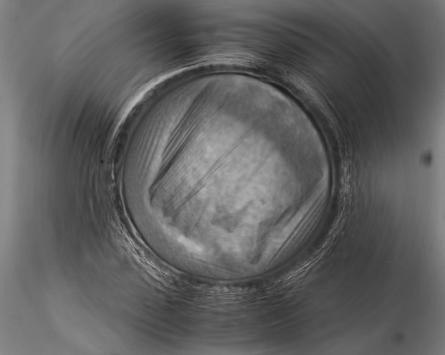 X0000116060923200912111524