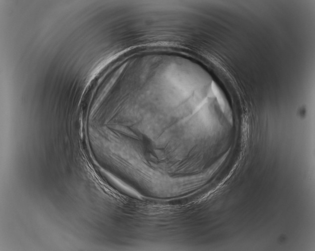 X0000116060925200912111524