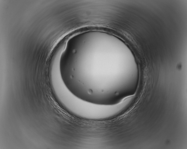 X0000116060926200912111524