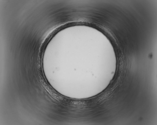 X0000116060927200912111524