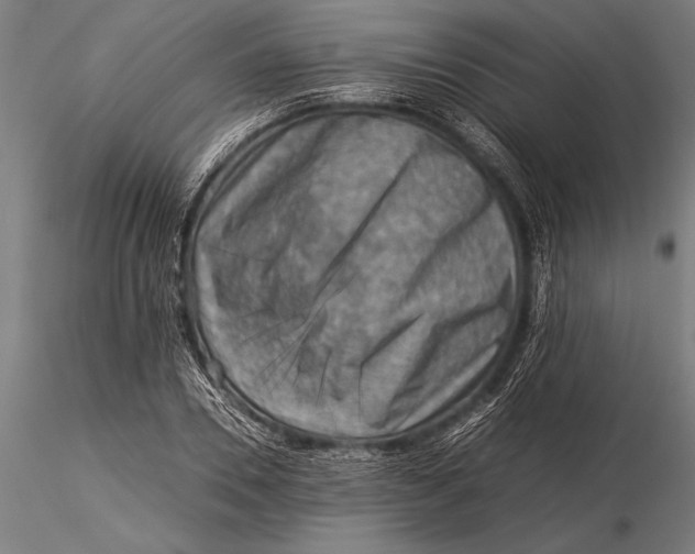 X0000116060930200912111524