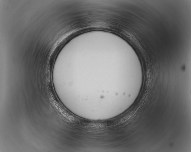 X0000116060931200912111524