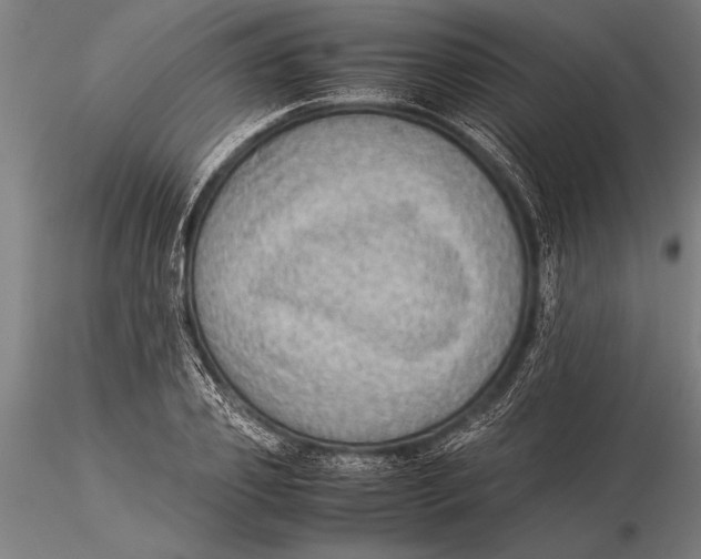 X0000116060933200912111524