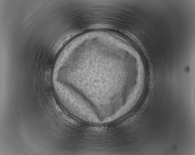 X0000116060937200912111524