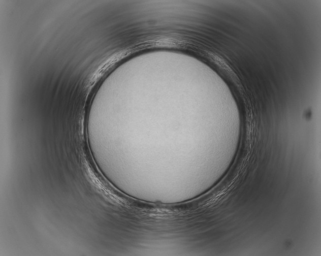 X0000116060938200912111524