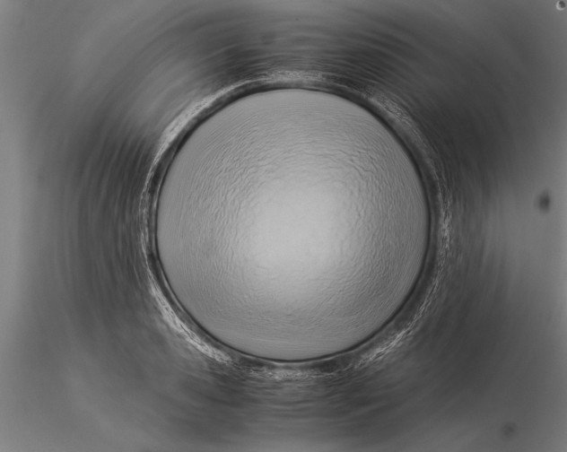 X0000116060941200912111525