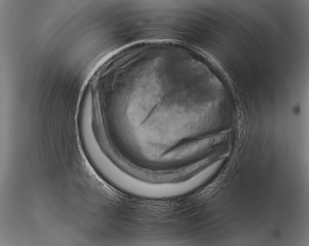 X0000116060943200912111525