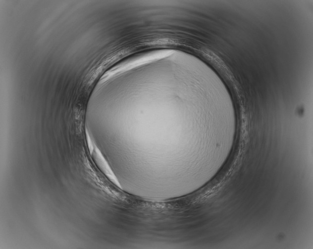 X0000116060945200912111525