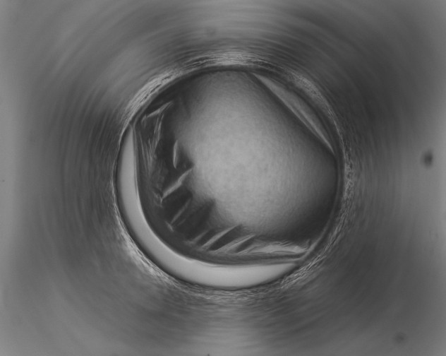 X0000116060946200912111525