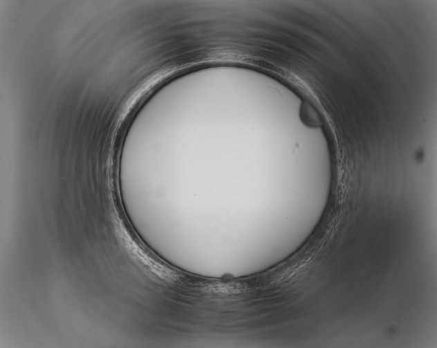 X0000116060947200912111525