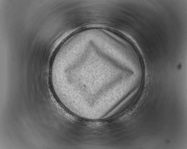 X0000116060949200912111525