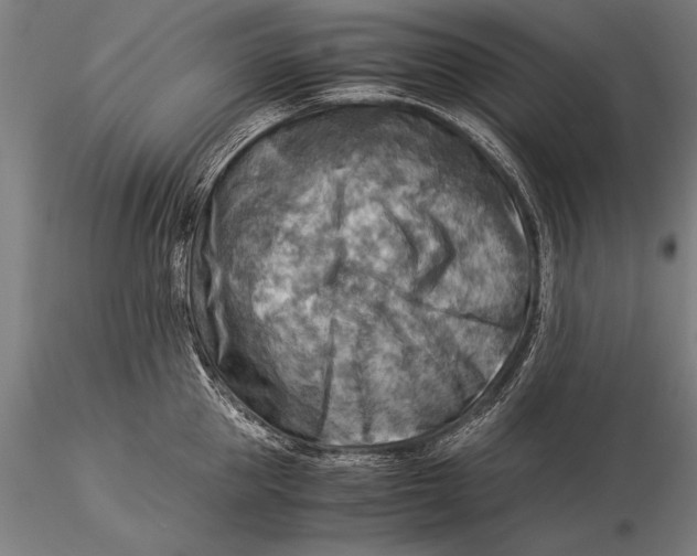 X0000116060953200912111525