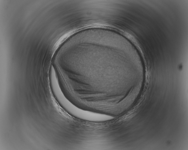 X0000116060954200912111525