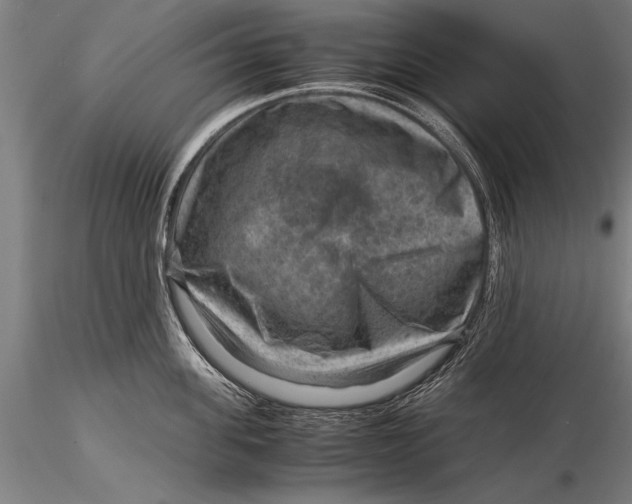 X0000116060955200912111525