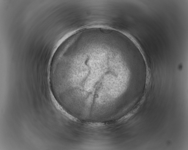 X0000116060957200912111525