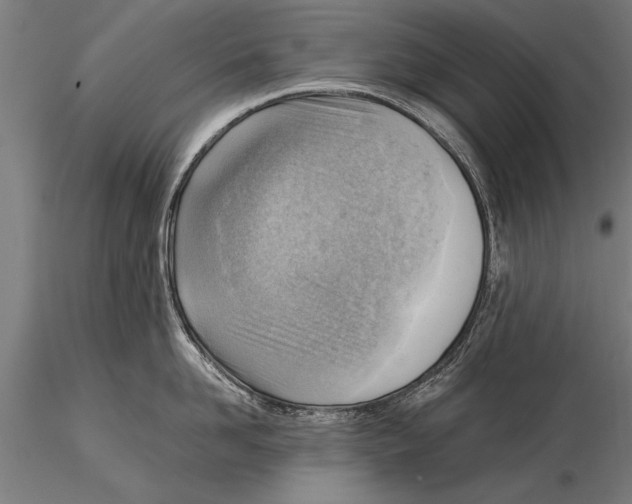 X0000116060958200912111525