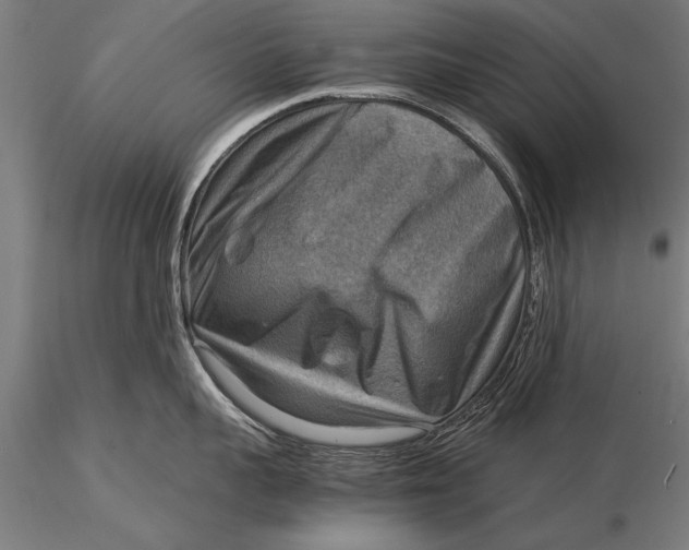 X0000116060959200912111525