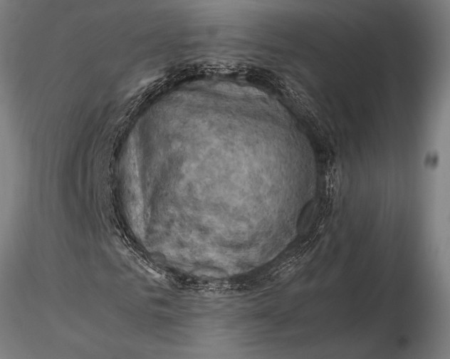 X0000116060961200912111524