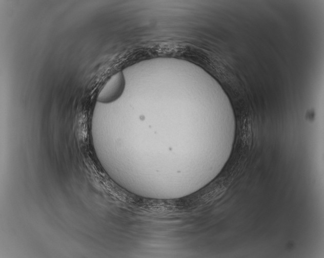 X0000116060962200912111524