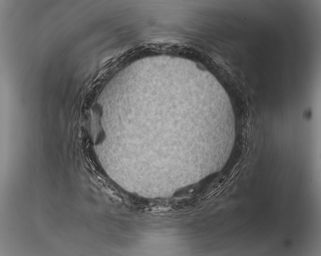 X0000116060965200912111524