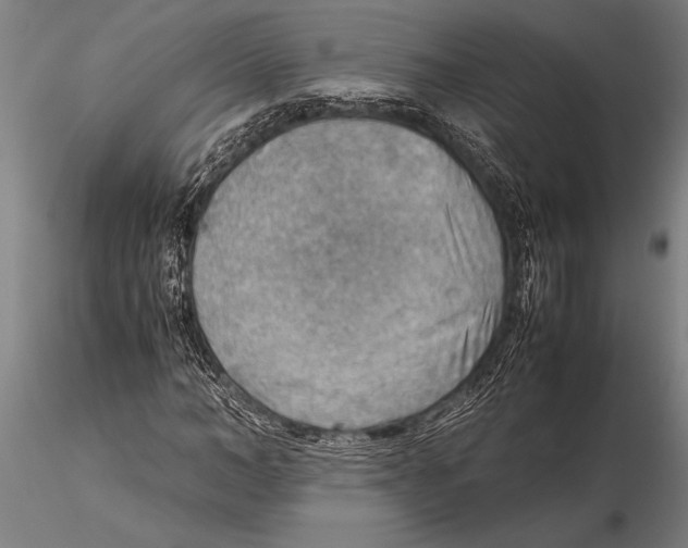 X0000116060966200912111524