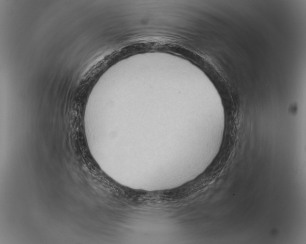 X0000116060967200912111524