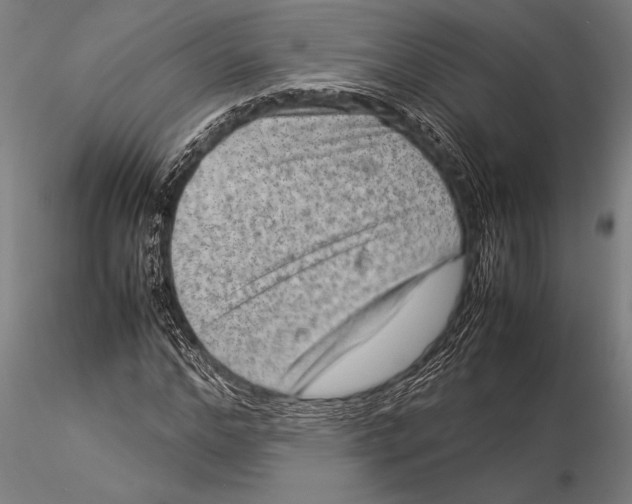 X0000116060968200912111524