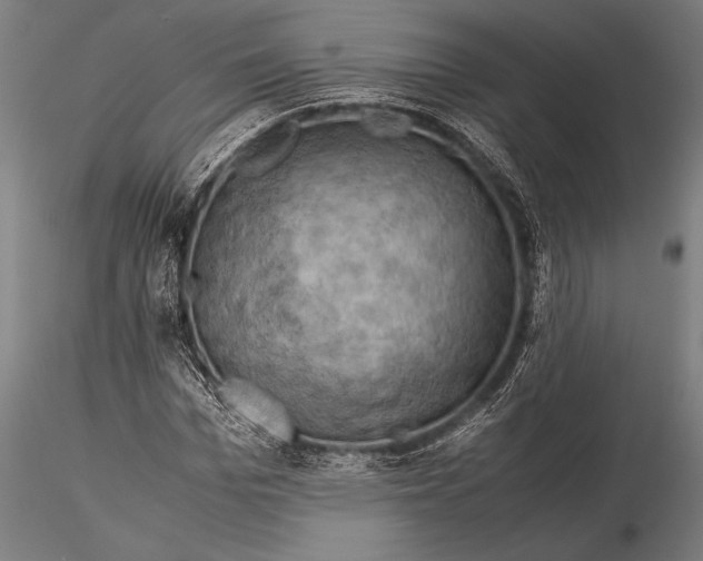 X0000116060969200912111524