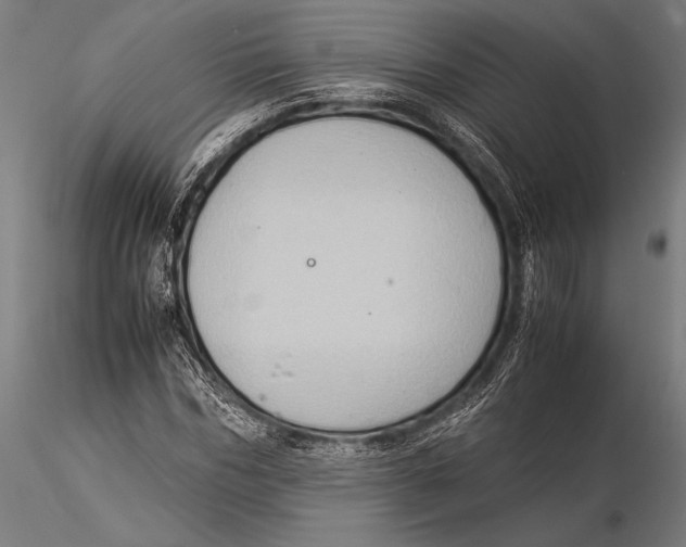 X0000116060970200912111524