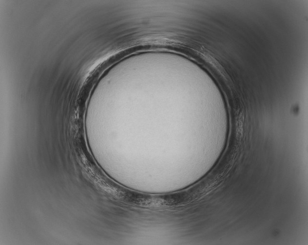 X0000116060971200912111524