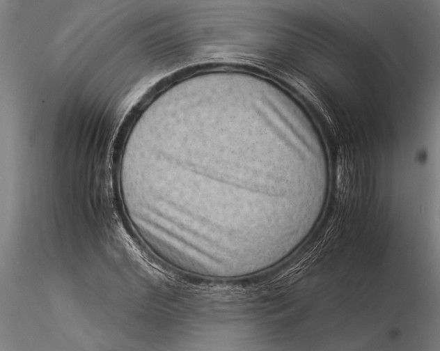 X0000116060972200912111524