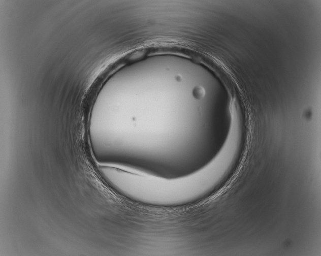 X0000116060973200912111524