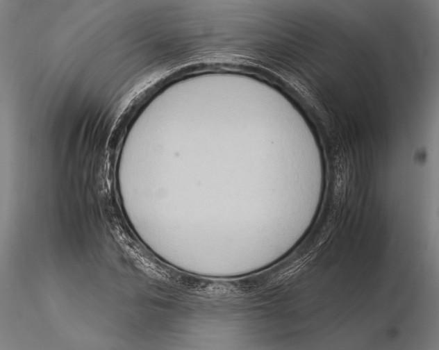 X0000116060974200912111524