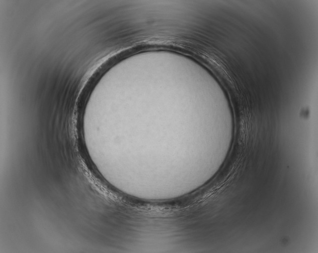 X0000116060976200912111524