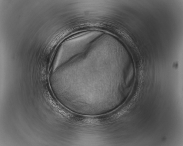 X0000116060977200912111524