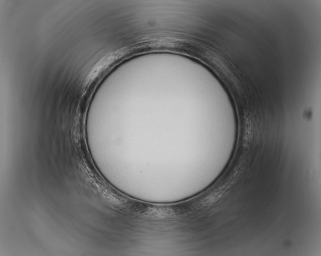 X0000116060978200912111524