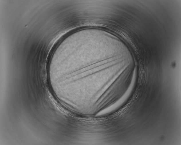 X0000116060980200912111524