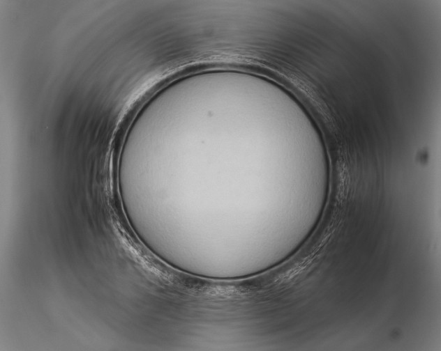 X0000116060982200912111524