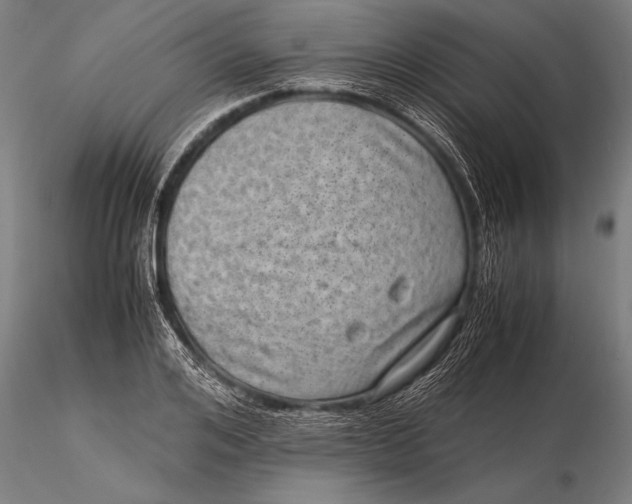 X0000116060984200912111524