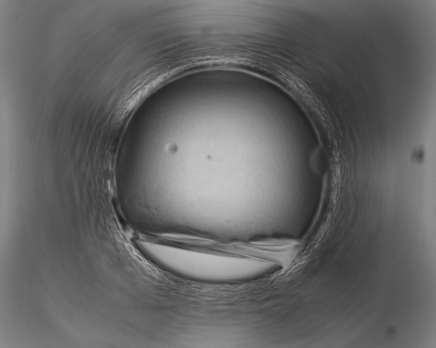 X0000116060985200912111524