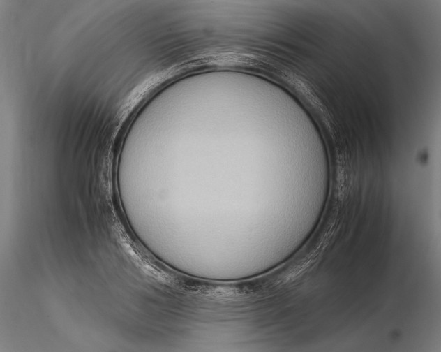 X0000116060986200912111524