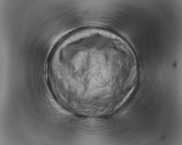 X0000116060987200912111524