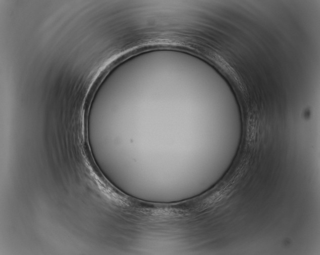 X0000116060988200912111524