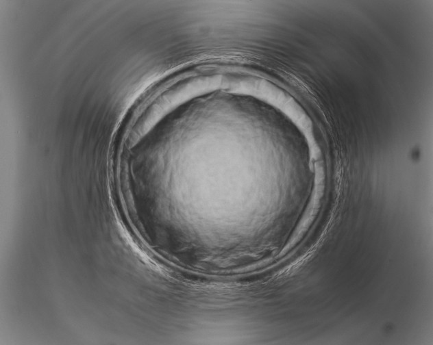 X0000116060989200912111524