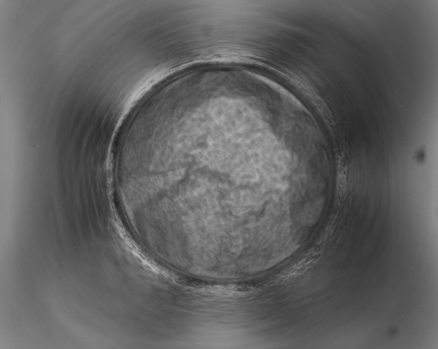 X0000116060990200912111524