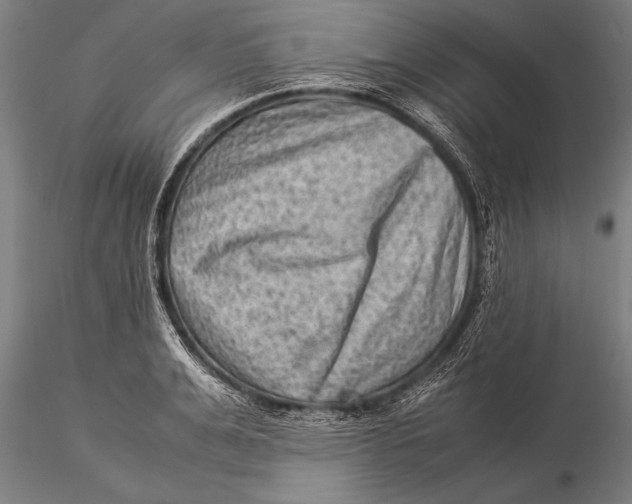 X0000116060991200912111524