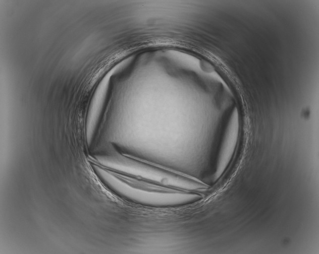 X0000116060993200912111524