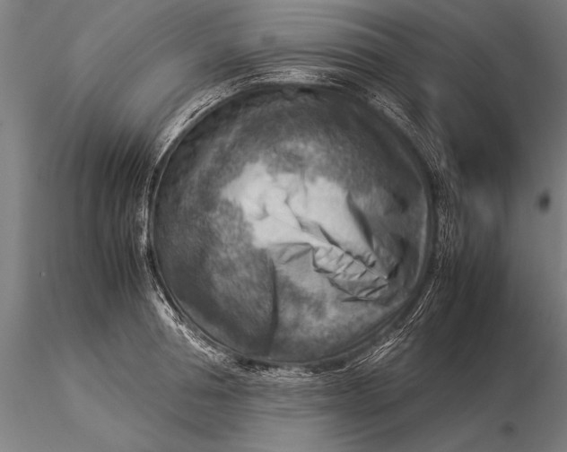 X0000116060994200912111524