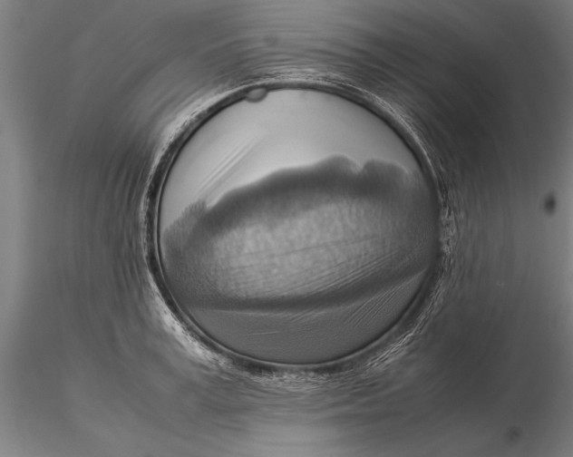 X0000116060995200912111524